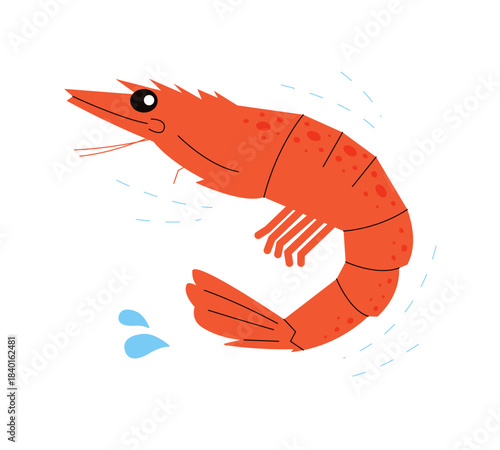 Shrimp isolated on white background. Simple, cute vector illustration of a bright red shrimp. Perfect for seafood menus, children's content and food design projects
