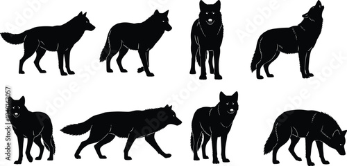 Wolf silhouette collection, black wolves in motion, howling, standing, walking, animal poses, wild nature, predator, fur texture, anatomy study