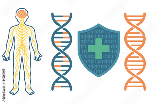 Human nervous system, DNA structure, and digital health protection shield for medical data security