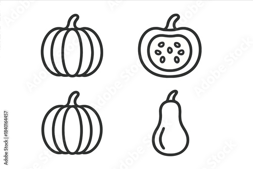 Minimalist black outline set of pumpkins, squash, and gourds for autumn harvest and Thanksgiving holiday