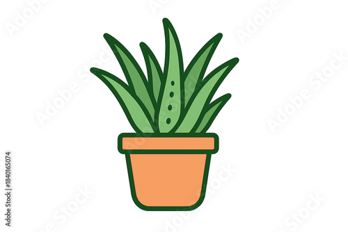 Stylized aloe vera houseplant in a terracotta pot