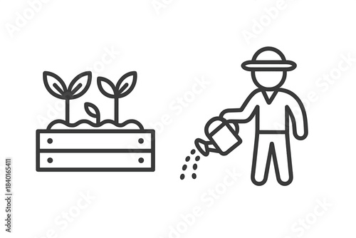 Gardener watering young plants and seedlings growing in a raised wooden garden bed