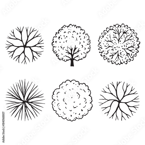 CAD Trees Top View Set – Landscape Design and Architectural Elements