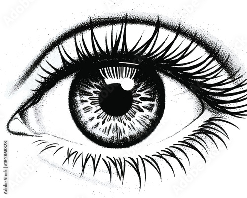 Detailed human eye closeup vector sketch