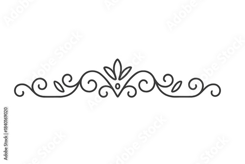 Elegant ornamental divider with swirling flourishes and central floral motif