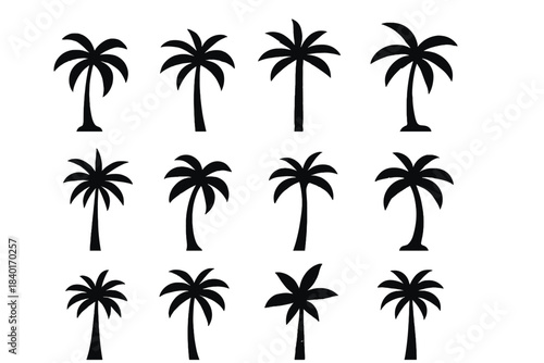 Set of tropical palm tree silhouettes for summer vacation and beach travel graphics
