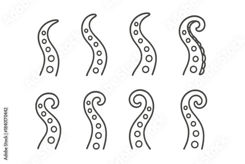 Various curved octopus tentacles and suction cups for marine life themes