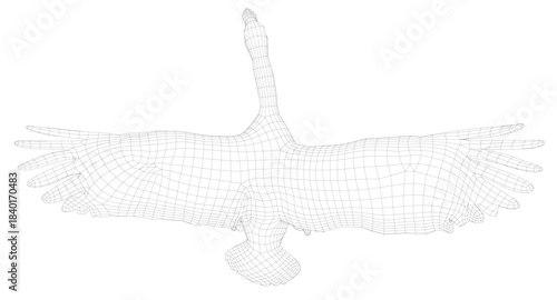 A wireframe goose in flight, depicted as a 3D model with wings spread wide against a clean white background. The realistic digital rendering emphasizes its aerodynamic form.
