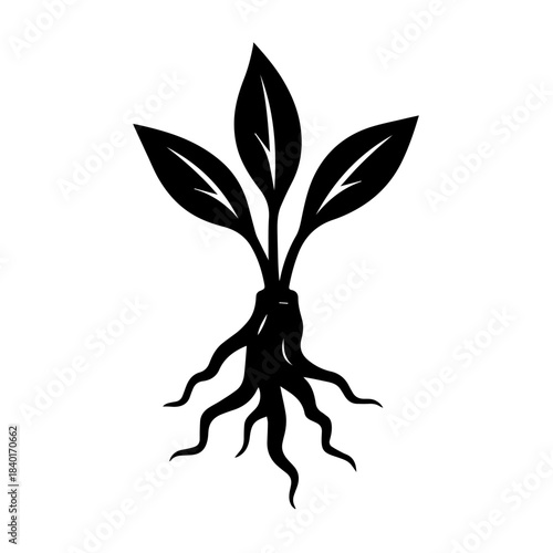 Rooted Plant Silhouette Vector Illustration