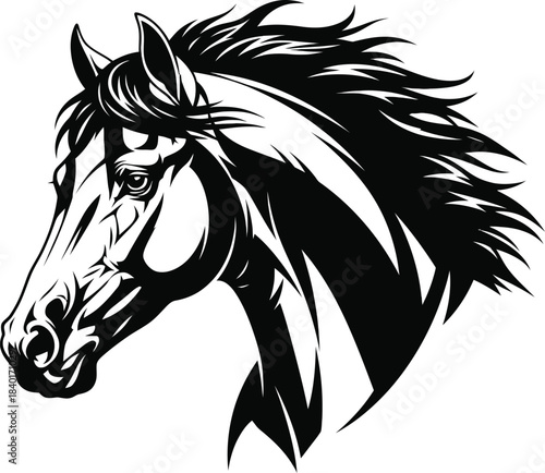 Horse head silhouette wild stallion illustration