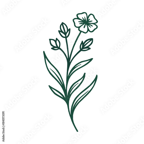 Minimalist Flowering Plant with Buds Illustration