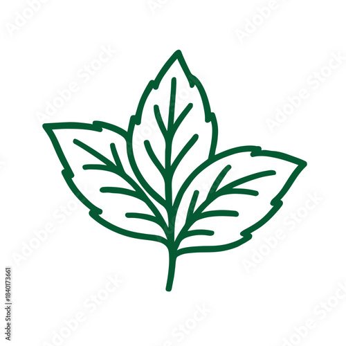 Minimalist Mint Leaf Line Illustration