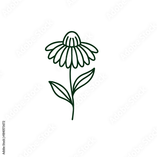 Minimalist Line Art Flower Illustration