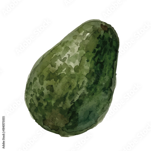 Watercolor-style avocado illustration／アボカド