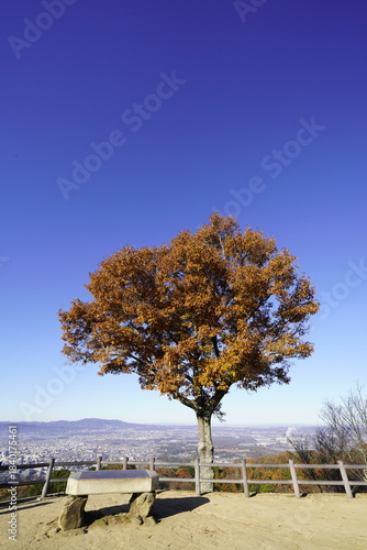 奈良 若草山頂から見た風景