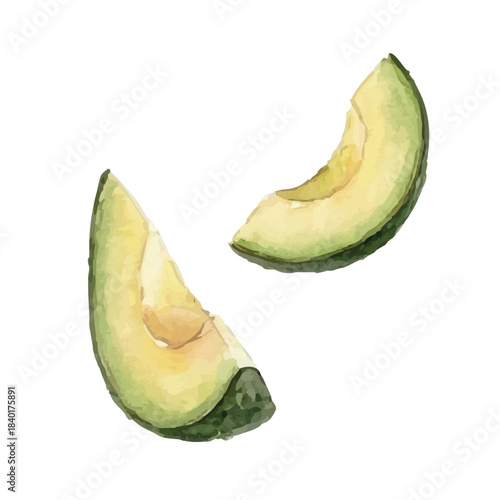 Watercolor-style avocado illustration／アボカド