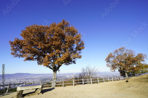 奈良 若草山頂から見た風景