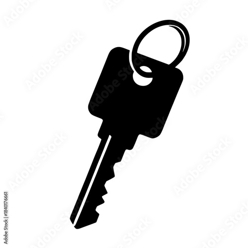 vector illustration of key