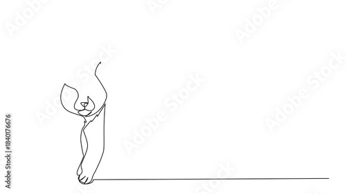 Self drawing animation of one line drawing a lynx walking with alert posture, showcasing its distinctive tufts and wild elegance for International Lynx Day, wildlife conservation. Full length animated