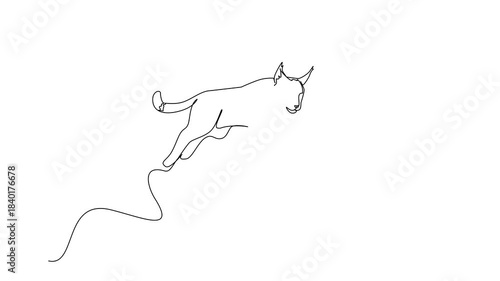 Animation of continuous line drawing of a lynx jump leaping forward, composed in a single elegant stroke to emphasize agility and strength for International Lynx Day. Full length motion