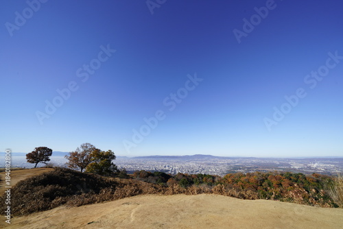 奈良 若草山頂から見た風景