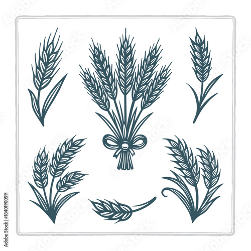 Vintage hand-drawn vector set of wheat elements featuring bundles, stalks, and grain heads. Suitable for wheat, rye, barley, and oats themes. Perfect for bakery, farm, harvest, and organic branding. 
