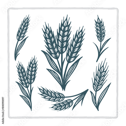 Vintage hand-drawn vector set of wheat elements featuring bundles, stalks, and grain heads. Suitable for wheat, rye, barley, and oats themes. Perfect for bakery, farm, harvest, and organic branding. 