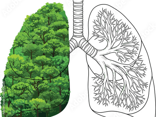 Creative lungs illustration combining forest and respiratory system, symbolizing nature, environment, health, clean air, ecology, conservation, sustainability, and biological awareness concepts