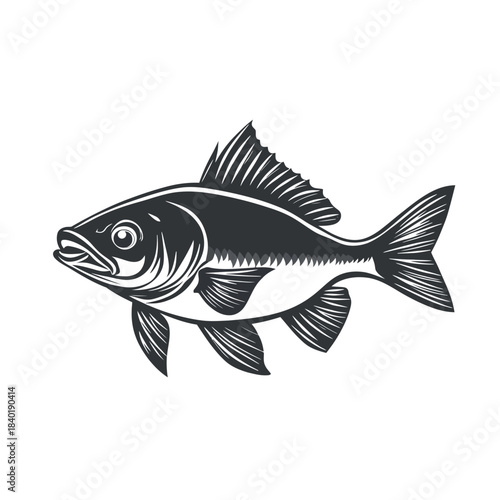 Detailed illustration of a fish swimming gracefully (2)