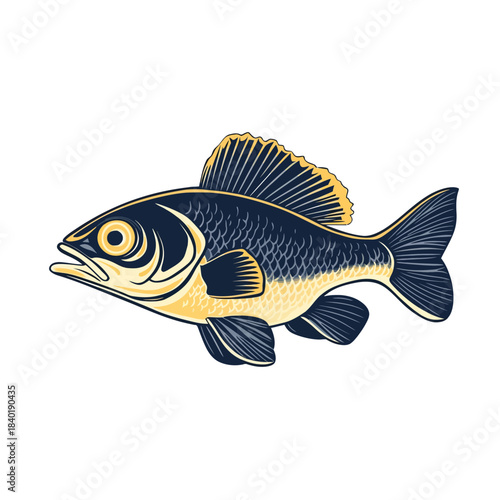 Detailed illustration of a fish swimming in water