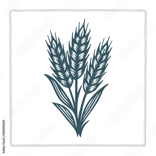 Vintage vector illustration of a wheat plant drawn in bold hand-crafted style. Ideal symbol for wheat, rye, barley, and oats themes. Perfect for bakery, farm, and organic branding. Part of set.