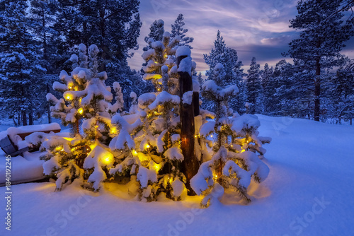 Snowy winter forest at cabin in Norway