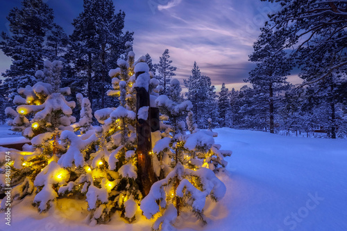 Snowy winter forest at cabin in Norway