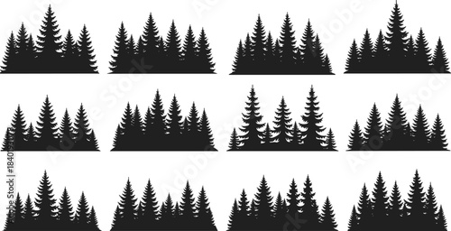 Large collection of pine tree forest silhouettes with multiple woodland compositions, evergreen landscape illustration for nature design, wilderness 