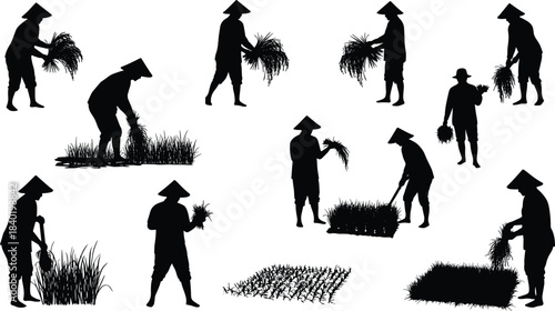 Rice farming silhouettes with traditional hats, agricultural labor poses, rural field work illustration for culture, education, and design use
