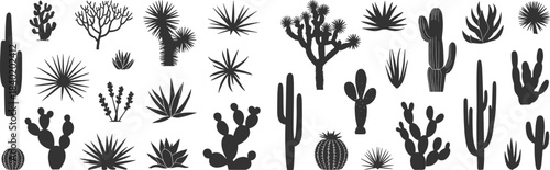 Black and white cactus and succulent illustration set featuring desert plants, silhouettes, agave, aloe, minimal botanical elements for nature design