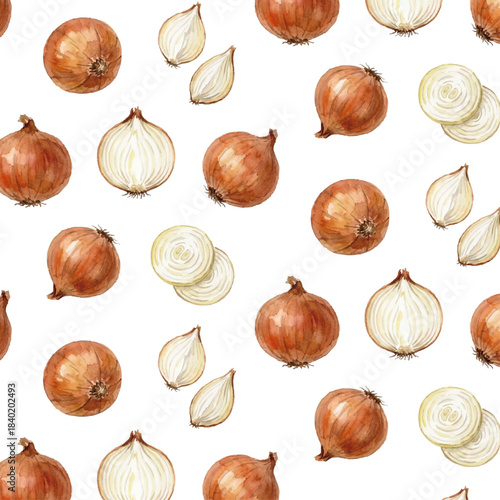 Watercolor-style onion illustration／玉ねぎ