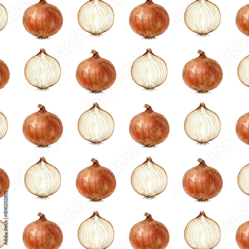 Watercolor-style onion illustration／玉ねぎ