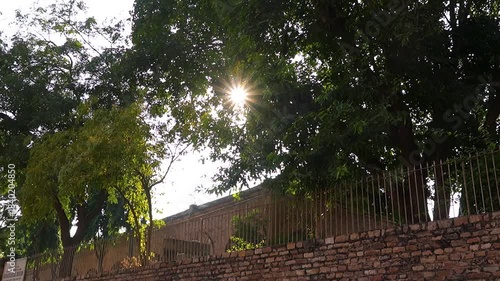 Sun Rays Shining Through Tree Leaves, Natural Sunlight Background, Golden Sunlight Filtering Through Tree Leaves, Peaceful Nature Scene,Sunbeams Passing Through Green Foliage, Natural Light Background