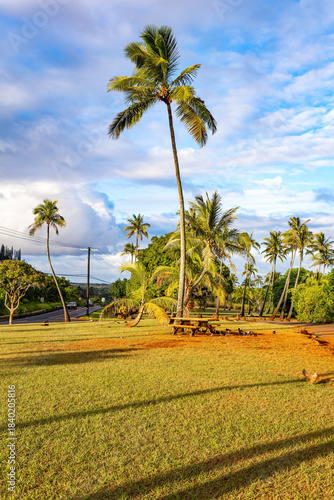 The beautiful Pacific island