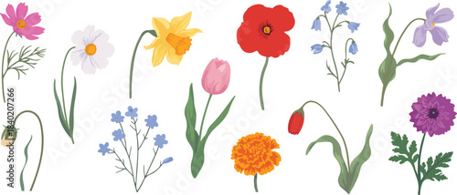 Hand-Drawn Spring Wildflower Collection – Colorful Vector Floral Illustrations - Isolated Botanical Clipart Set – Tulip, Poppy, Daffodil, and Daisy Elements