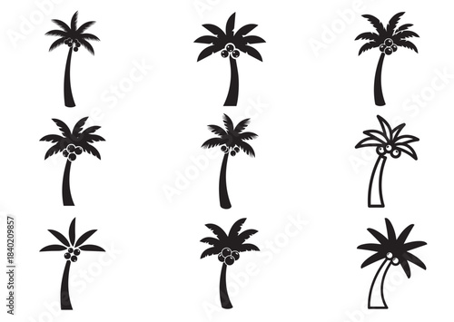Set of Coconut tree icon, Coconut tree Black silhouette vector