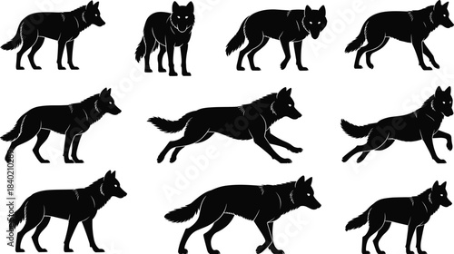 Nine black wolf silhouettes in various poses on a white background wolves