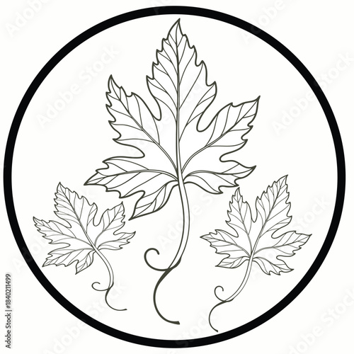 Botanical Vine Leaves in Circle Emblem