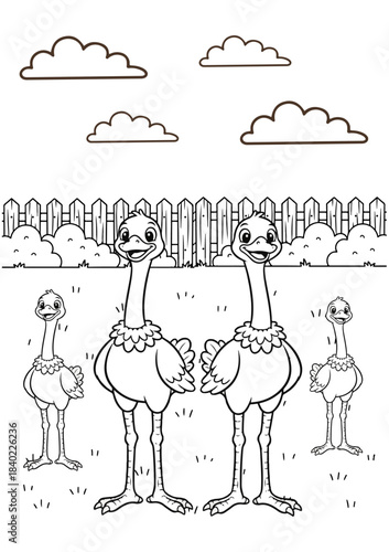 An ostrich family