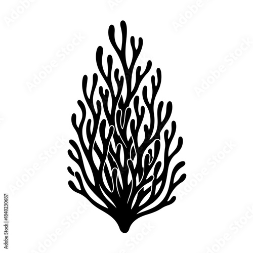 Black silhouette of a branching coral or seaweed plant on a white background, resembling an abstract organic shape.