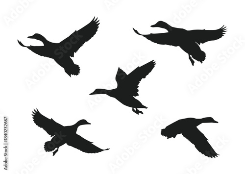 flying duck silhouette, flying duck vector illustration
