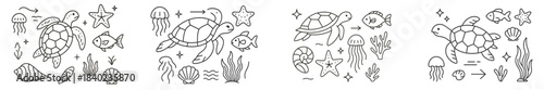 Drawings of turtles and sea creatures with various details in a simple design on a white background