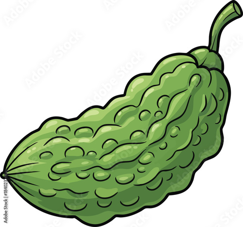 Green bumpy bitter gourd, simplified cute texture, kids vegetable vector