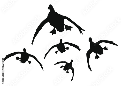 flying duck silhouette, flying duck vector illustration